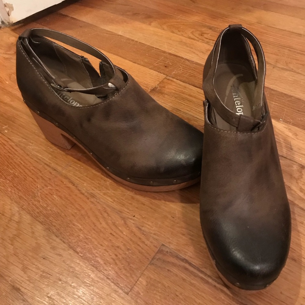Antelope Wedges